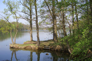 Schachtsee Neugattersleben