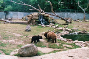 Tierpark Bernburg
